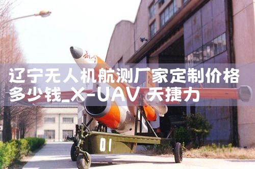 ˻⳧ҶƼ۸Ǯ|˻UAV