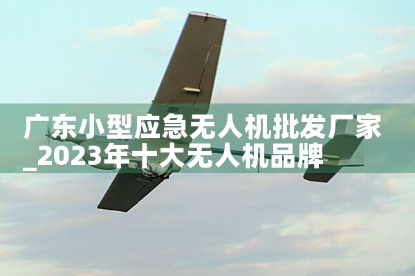 㶫СӦ˻|˻UAV