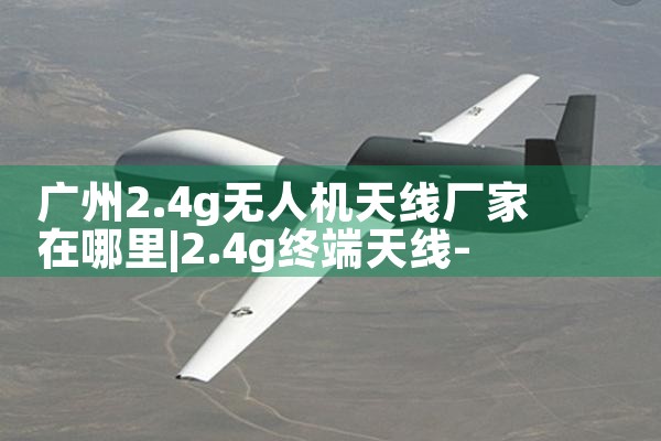 2.4g˻߳|˻UAV