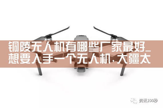 ͭ˻Щ|˻UAV