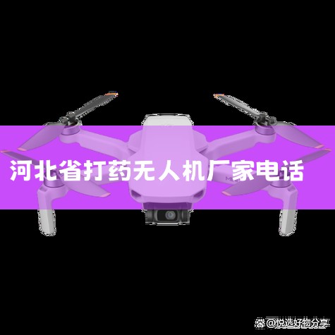 2023ĴʡѧĿĹʾ_۸__ͼƬ -ɽ_ӱʡɹ̳פ_úʩ -_˻UAV